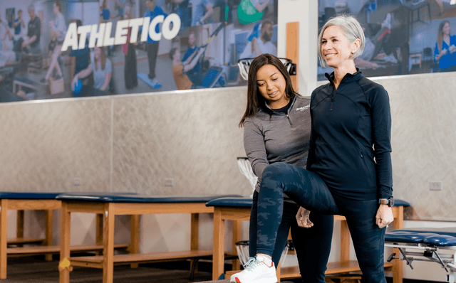 owly asset not found